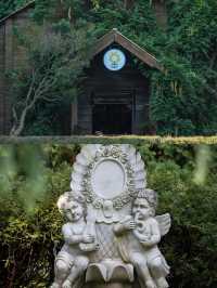 聽勸去了昆明！這個公園真的很好拍