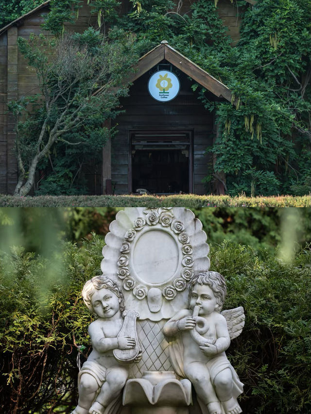 聽勸去了昆明！這個公園真的很好拍