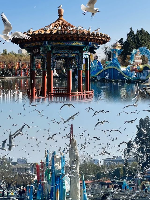 畫中有詩的地方叫大觀樓