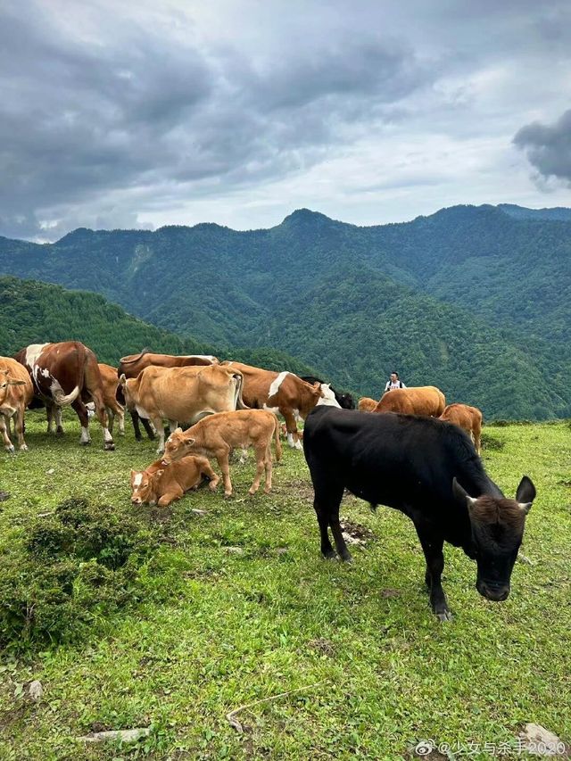 成都都有自己的阿勒泰雲中嶺徒步1日遊