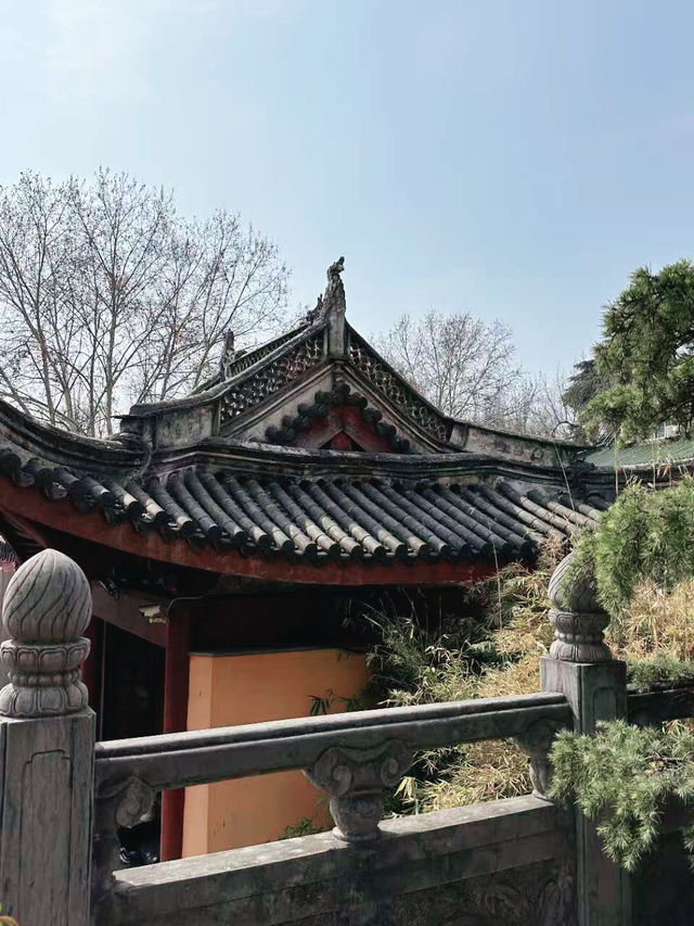 雞鳴寺的櫻花，是金陵獨有的春日浪漫