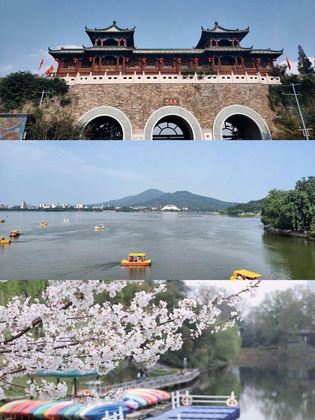 南京週末賞櫻兩日遊路線，衝啊！！！