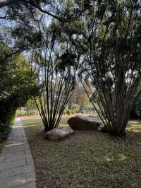 Shenzhen City Walk | Luohu Greenway