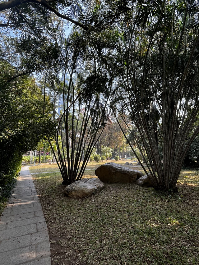 Shenzhen City Walk | Luohu Greenway