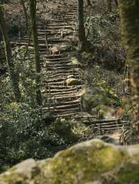 什邡仙居山 | 仲會二刷嘅吸氧徒步地