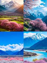 闖入現實版桃花源！林芝雪山花海封神了！
