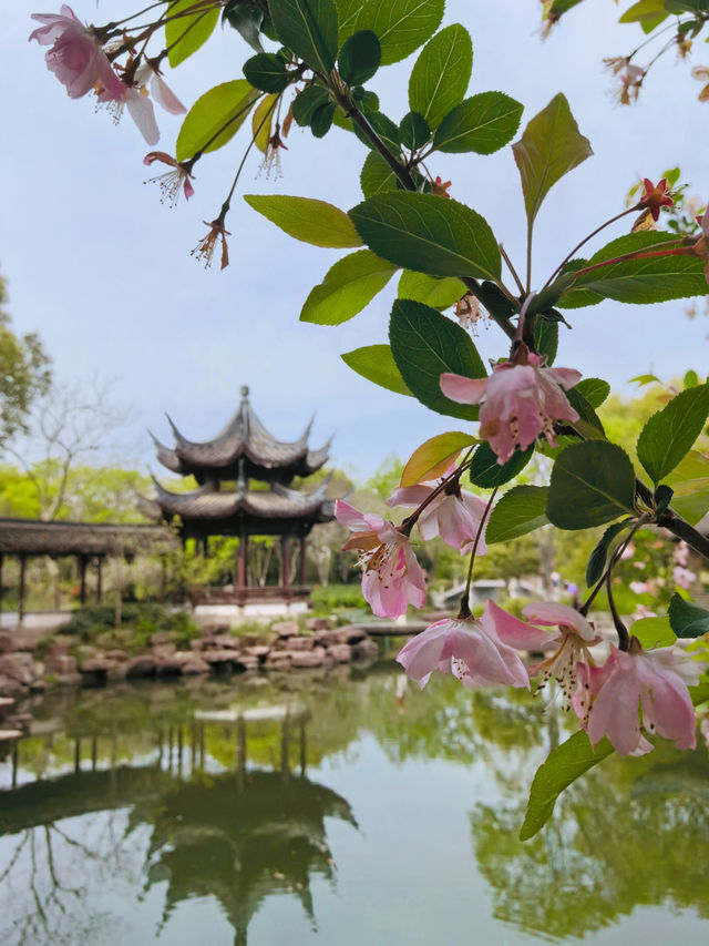 Relaxing Free Half-Day Tour at Xixi Wetland (1-Hour Journey Guide)