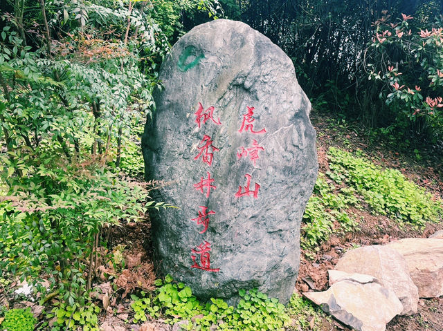 重慶市沙坪壩區著名文物保護區景點：虎風山、適合拍照打卡、週末閒暇度假地！ 