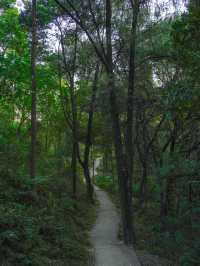 #尋蹤廣州潯峰山生態公園，邂逅自然之美
