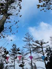 莫干山竹林秘境
