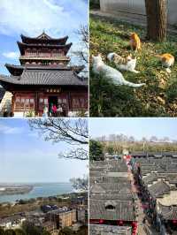 因為一首歌嚟到一座城~鎮江二日春日遊
