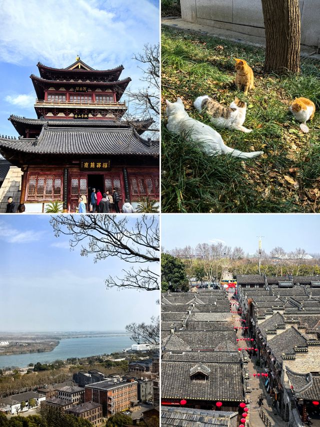 因為一首歌嚟到一座城~鎮江二日春日遊