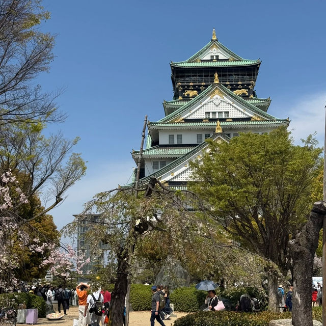 🌸穿越時光的大阪城公園之旅，超詳細攻略奉上