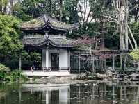 杭州植物園遊記