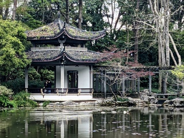 杭州植物園遊記