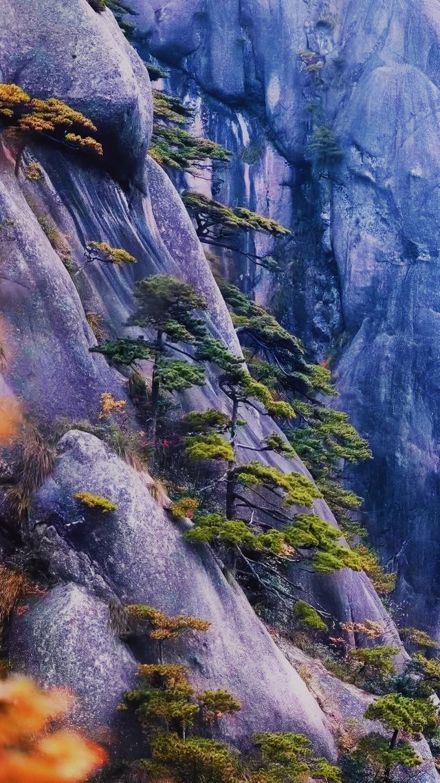 黃山：一場鐫刻在靈魂深處的綺夢之旅