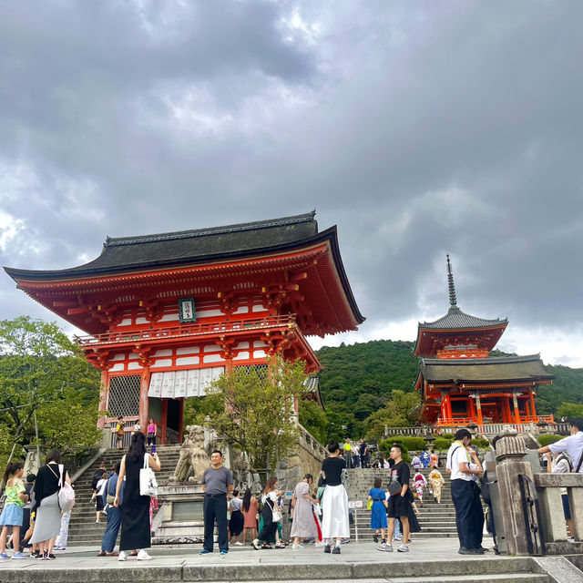일본의 옛수도인 교토 일본 전통 명소 위주 당일치기 코스🏯