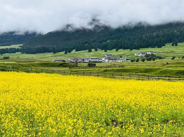 森湖織夢處，苔徑入秘境，湖光染詩魂。
新錯：秘境深處的詩意棲居