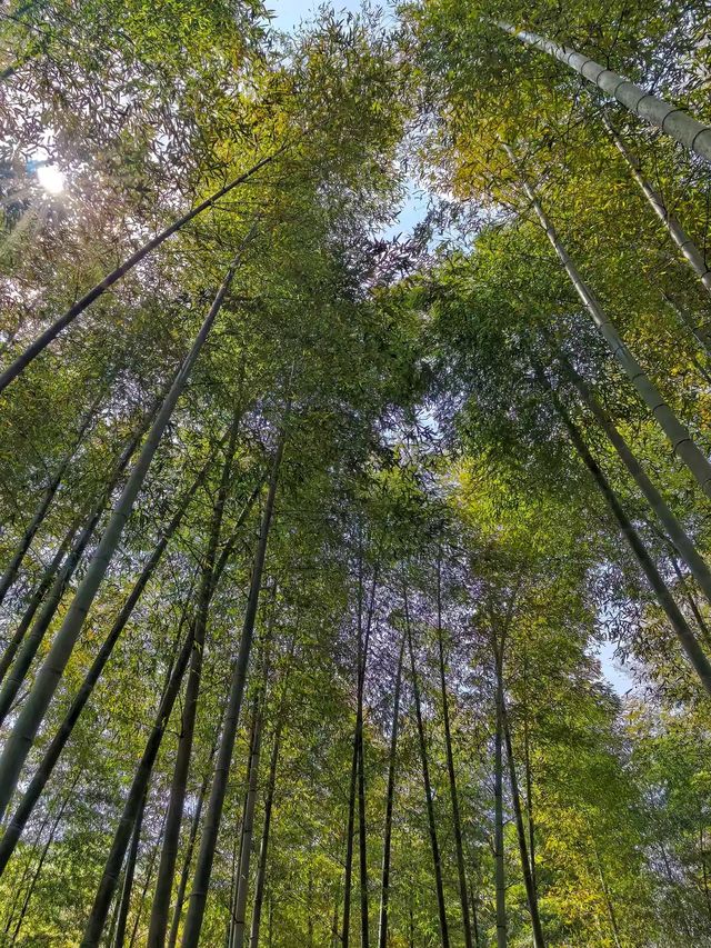 安雲悦南山度假酒店｜捕捉山水詩意與現代雅韻
