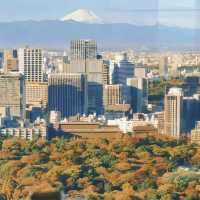 東京！男朋友定的😭超滿意的銀杏酒店