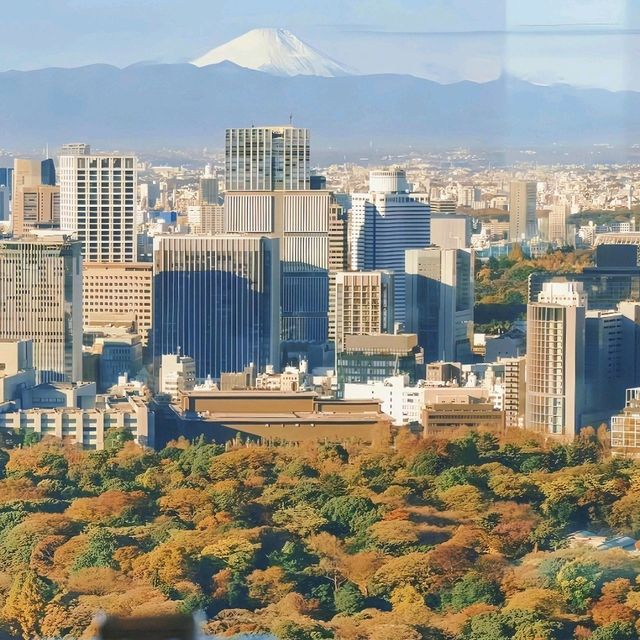 東京！男朋友定的😭超滿意的銀杏酒店