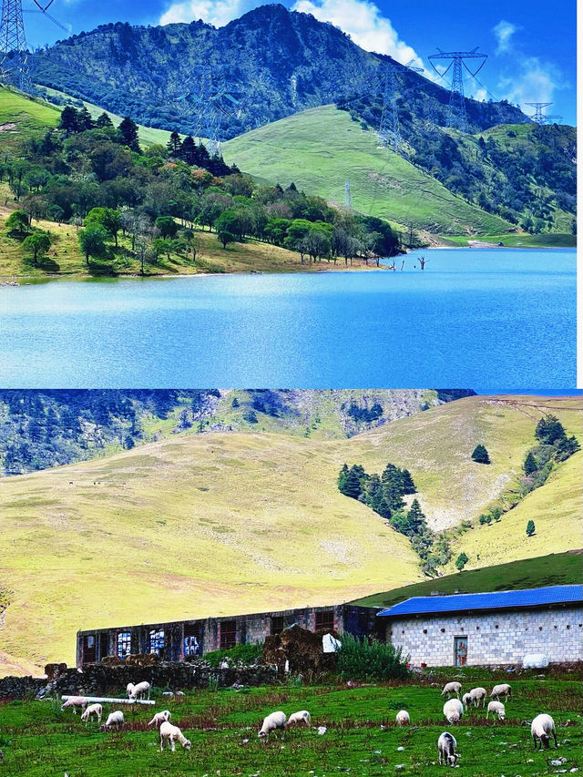 適合六七月份去旅行的地方可以看索瑪花