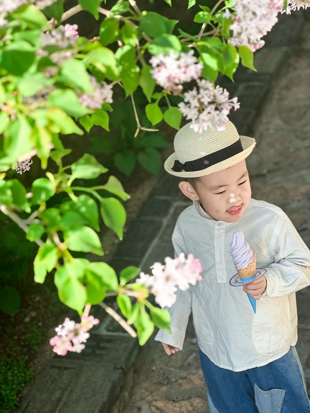 北京親子遊|住進了期待已久的小紅帽的森林之家！