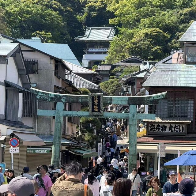  📔東京實習日記｜江之島治愈之旅：在山海間捕捉夏日浪漫 