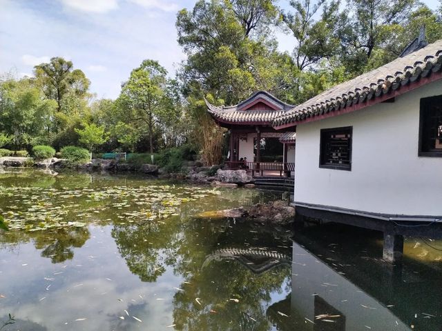 打卡古風園林，感受傳統韻味！