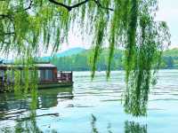 春日來信|邂逅西湖嘅浪漫桃花