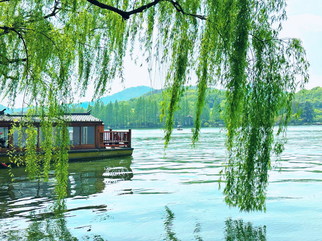 春日來信|邂逅西湖嘅浪漫桃花