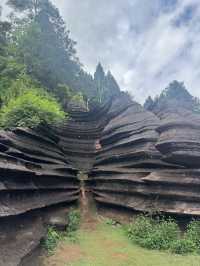 Red stone forest, China’s grand canyon