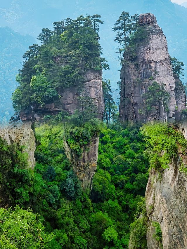 張家界「懸浮山」真係可以爬？外國網友賭100萬：假嘅！"