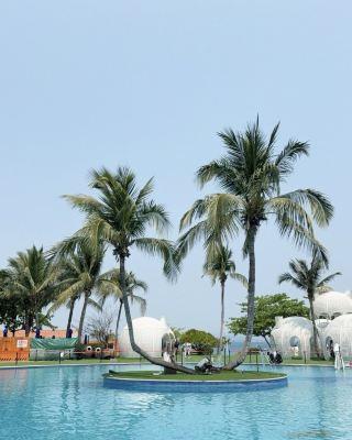 China's Maldives! A Sweet Diving & Whale Encounter Guide~