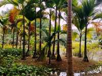 Kunming Botanical Garden: A Botanical Paradise in Southwest China