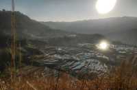 內蒙古呼倫貝爾5天4夜深度攻略