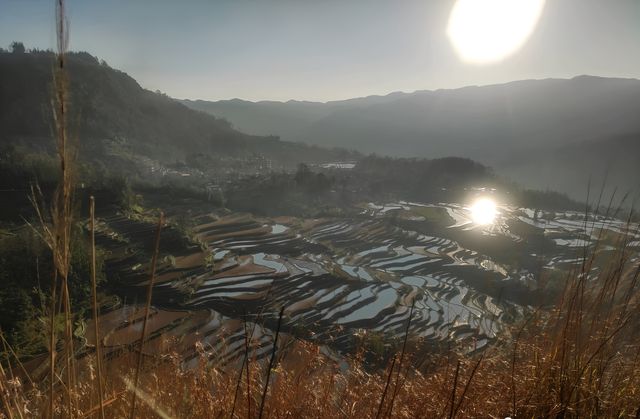 內蒙古呼倫貝爾5天4夜深度攻略