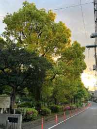 東京呑川親水公園交通攻略