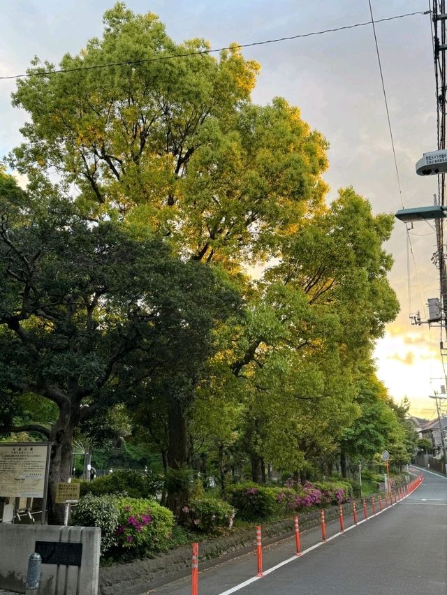 東京呑川親水公園交通攻略