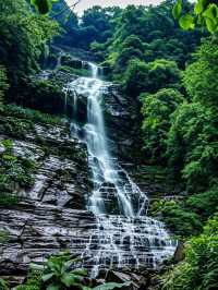 成都3小時即達！闖入綠野仙蹤瀑布群杜鵑花海追猴子