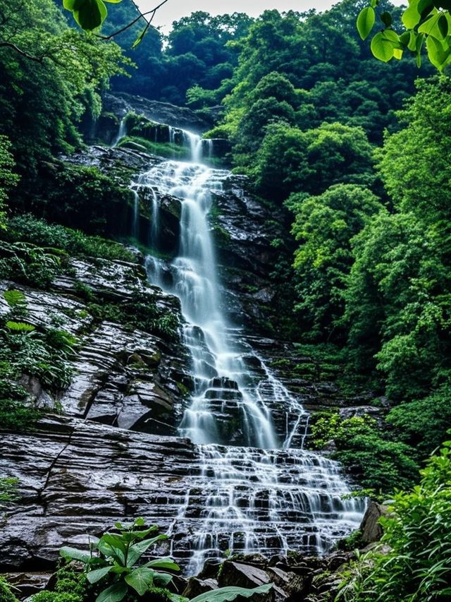 成都3小時即達！闖入綠野仙蹤瀑布群杜鵑花海追猴子