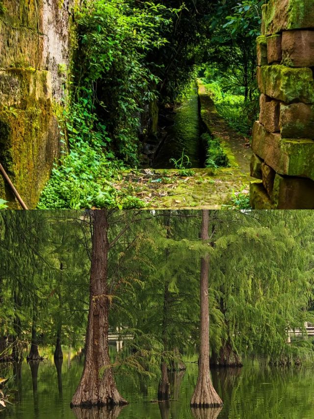 重慶周邊遊之璧山篇 藏在璧山的法式浪漫