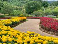 *🌿🦚 Green Jungle Park - สวนสวรรค์ธรรมชาติ🌠