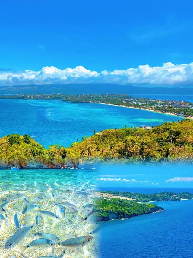 <National Geographic> didn't lie—this place has the best seawater in Southeast Asia