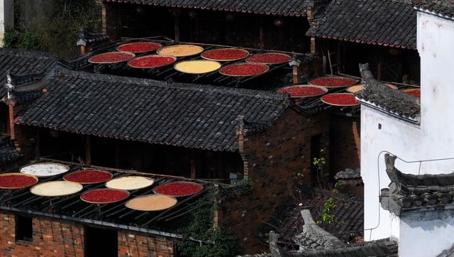 江西婺源不踩雷旅遊攻略 