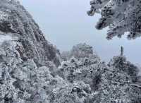 《被古人呃咗1200年！黃山「蓮花芯」先係外星戰場》