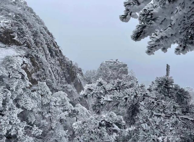 《被古人呃咗1200年！黃山「蓮花芯」先係外星戰場》