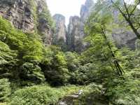 Magical 4 days in Zhangjiajie Park 