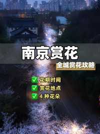 朋友圈問到癲嘅南京賞花地圖睇呢份就夠