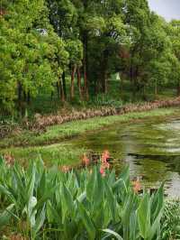 Some places are too peaceful to be famous: Discover a Hidden Gem 40 min from Yiwu
